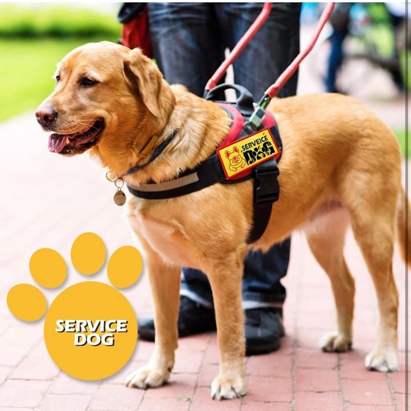 Service Dog Patch Set 9 pcs dog patches for harness in different styles - Picture 5 of 7